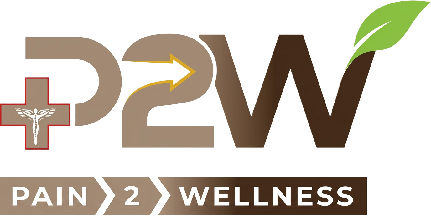 Pain 2 Wellness Chiropractic Center logo